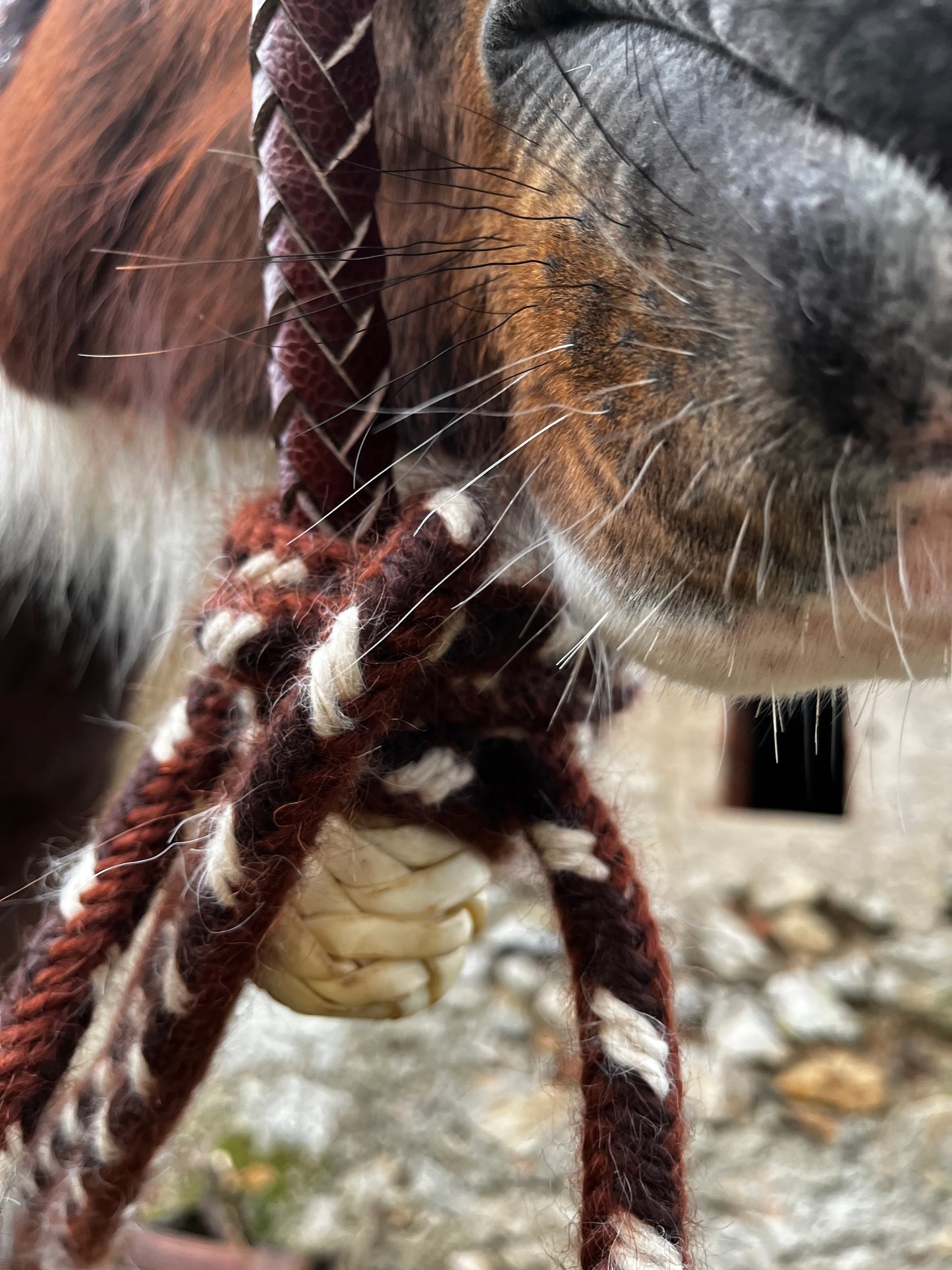 Mecate en mohair MUSTANG TWIST